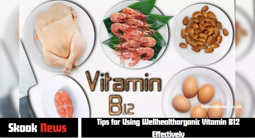 Tips for Using Wellhealthorganic Vitamin B12 Effectively