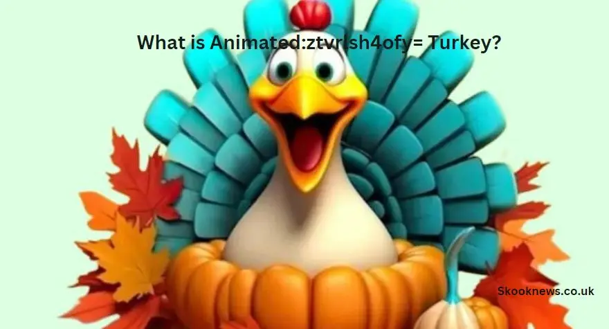 What is Animated ztvrlsh4ofy= Turkey