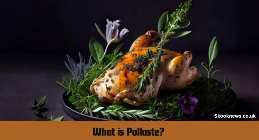 What is Pollaste