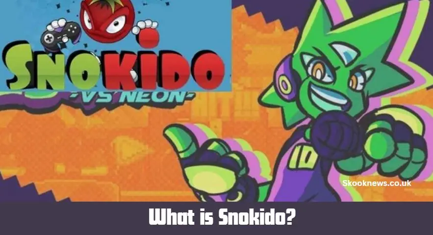 What is Snokido